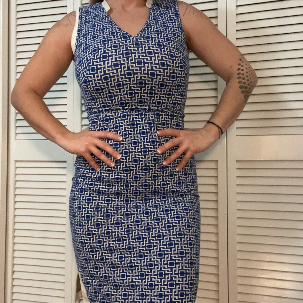 Ann Taylor Petite Dress